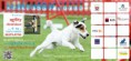 /album/fotogaleria/a05-navrh-billboard-agility-jpg/